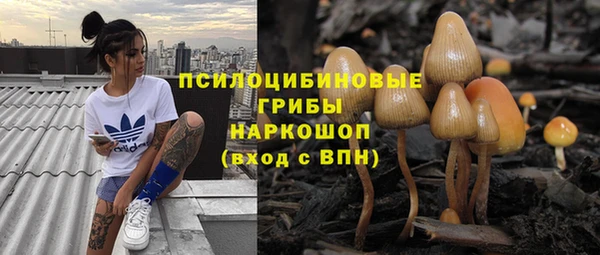 наркотики Алексин