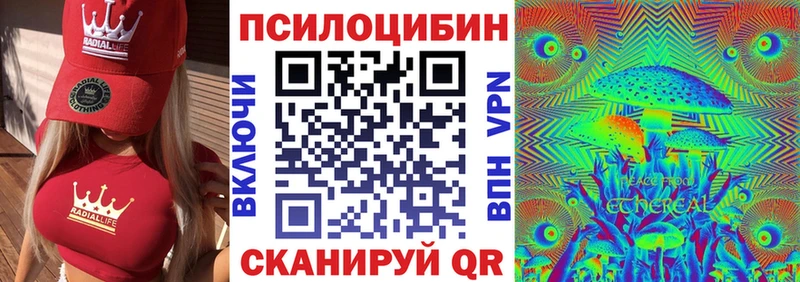 OMG рабочий сайт  Кочубеевское  Галлюциногенные грибы Psilocybine cubensis 